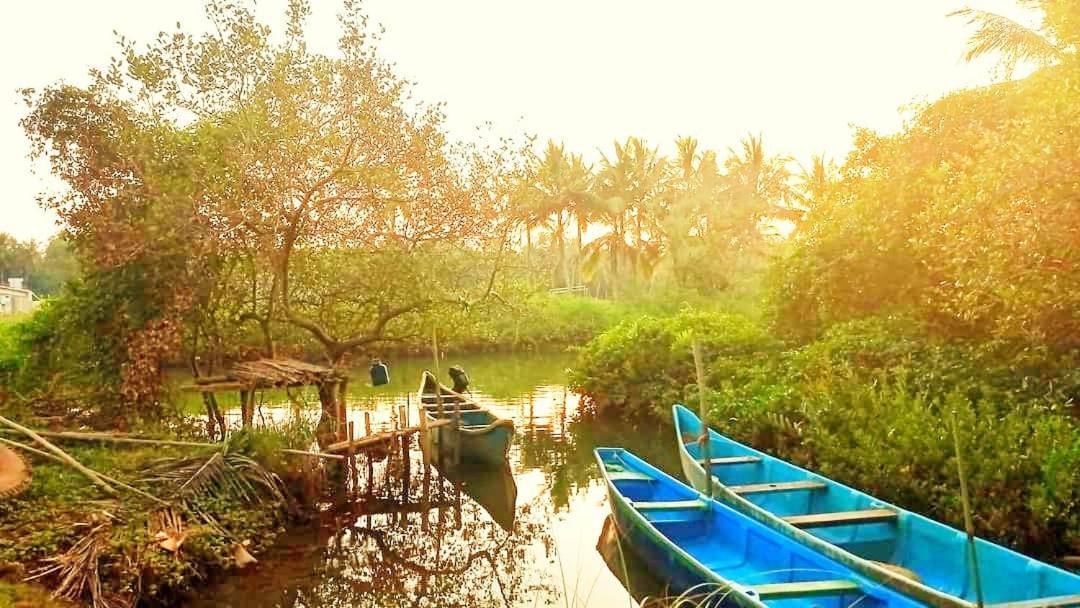 Shruthi'S Aarohi-Nature'S Retreat Mulappilangād Kültér fotó