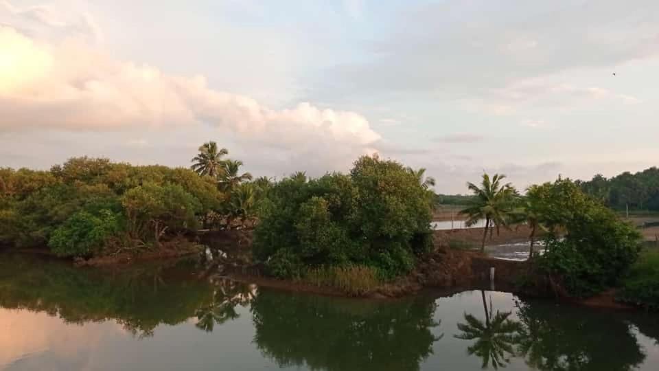Shruthi'S Aarohi-Nature'S Retreat Mulappilangād Kültér fotó